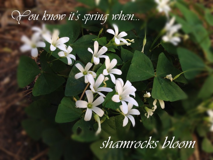 You know it's spring when...