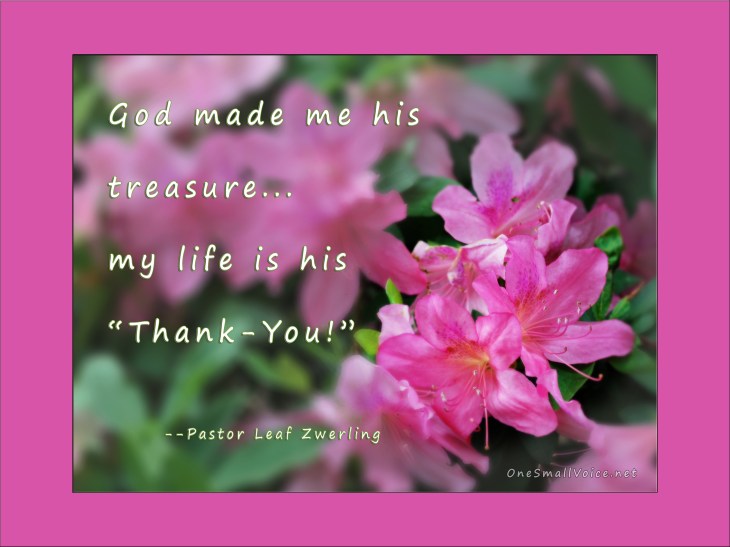 Azaleas_Descanso_7578 Leaf Zwrlg_3