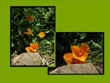 vcm_s_kf_repr_832x624