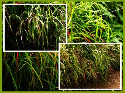 vcm_s_kf_repr_832x624