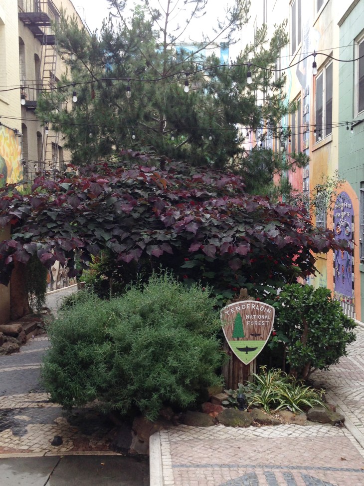 Tenderloin National Forest