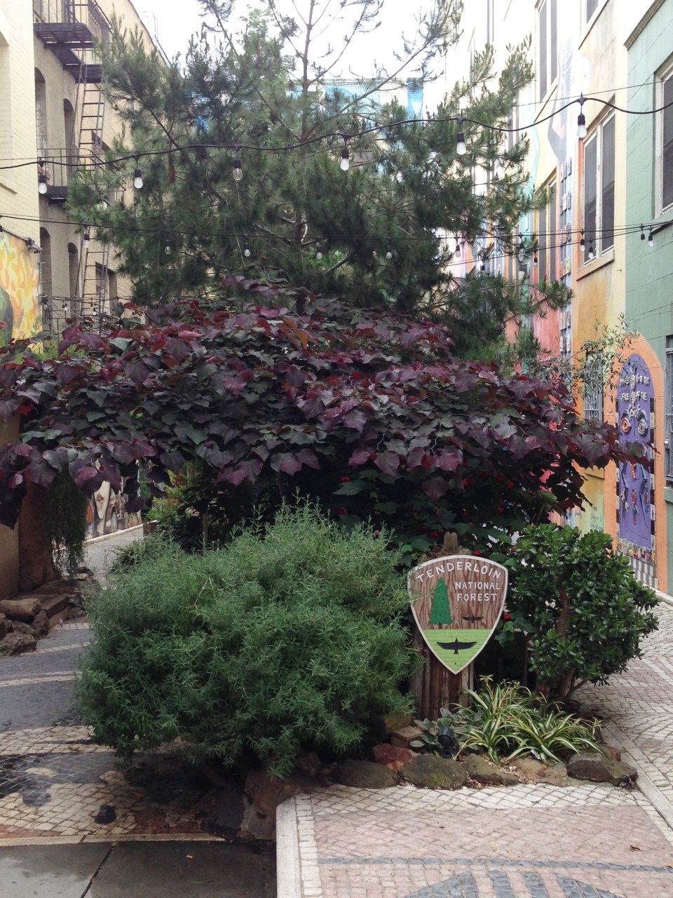 Tenderloin National Forest