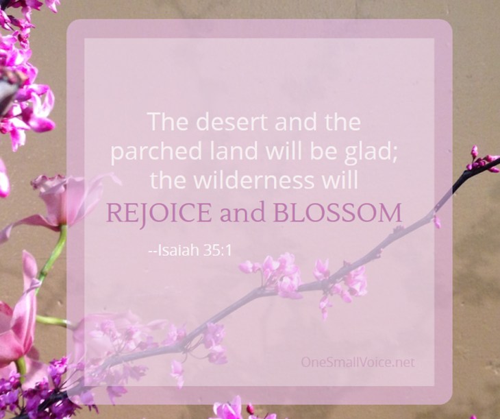 Isaiah 35_1