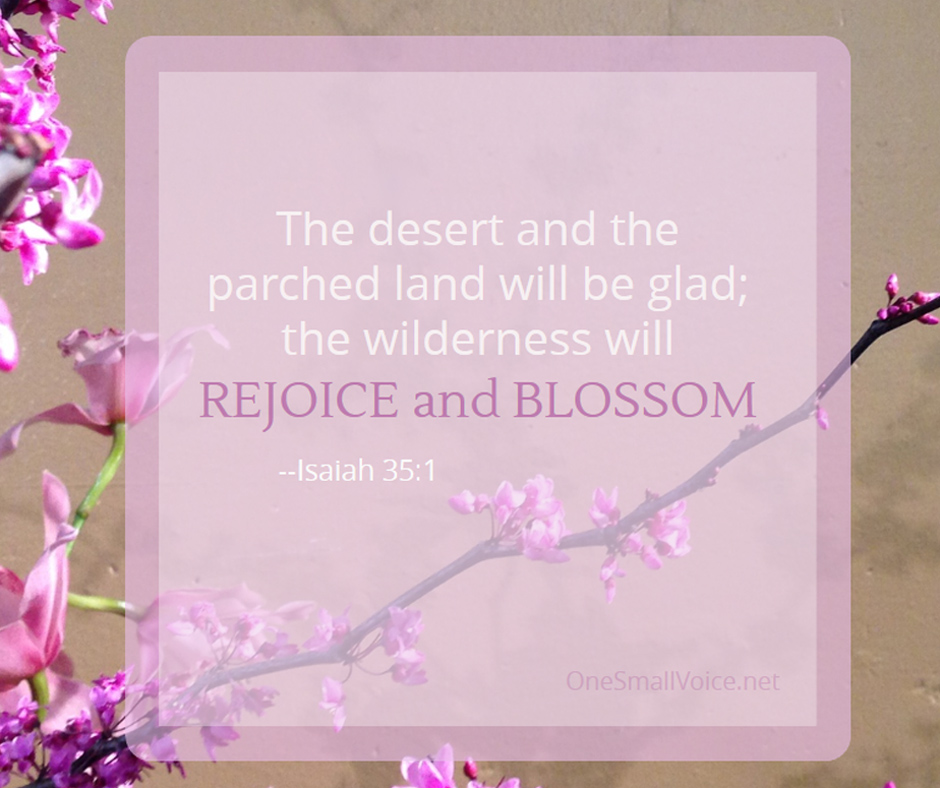 Isaiah 35_1