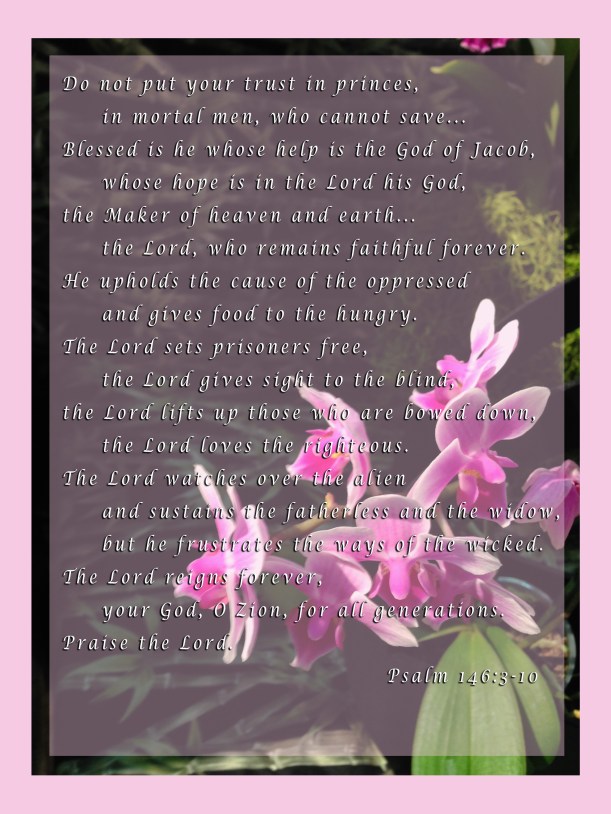 Psalm 146_3098 copy