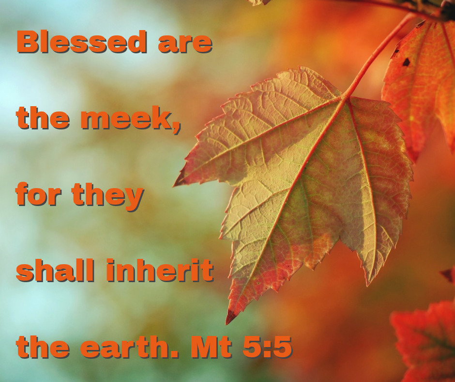 blessed-meek