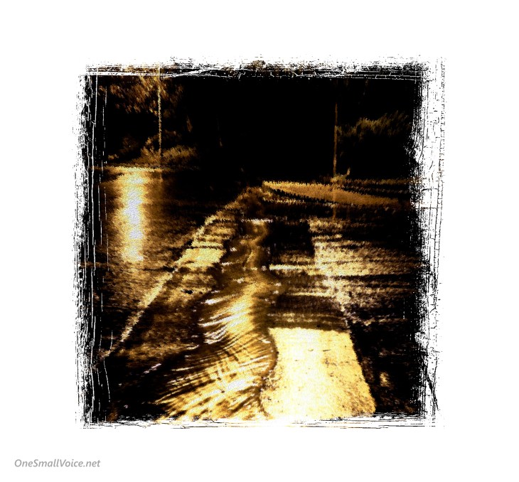 13-rain-fr-osv-p1030872