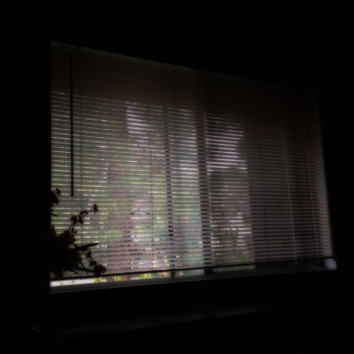 27-gentle-rain-short_7188