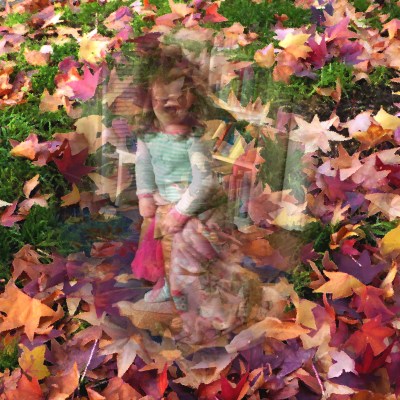 leaves-p1030658-sprite