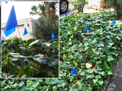 41-water-leak-dsc_2878