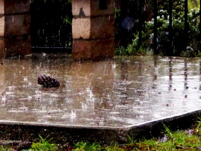 49-rain-pavement-p1040587