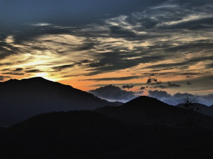 magnolia-light-show_p1040521