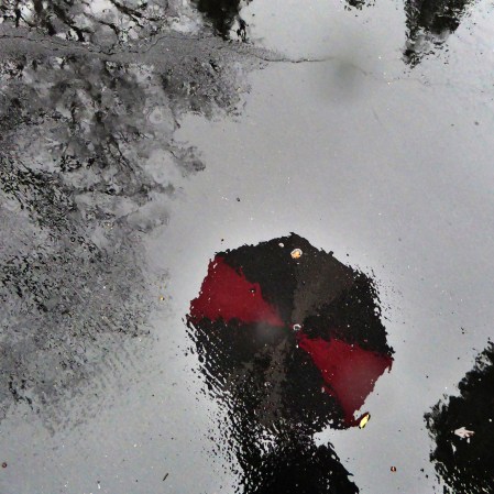 umbrella-reflection-p1040720