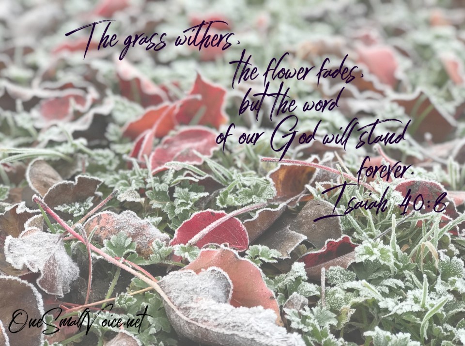 45930973-1053-4DD3-AD54-BEFF269DF322